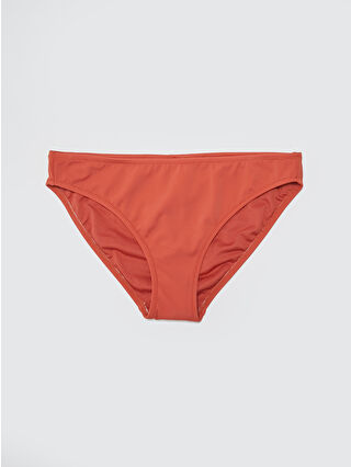 Cinnamon Brown