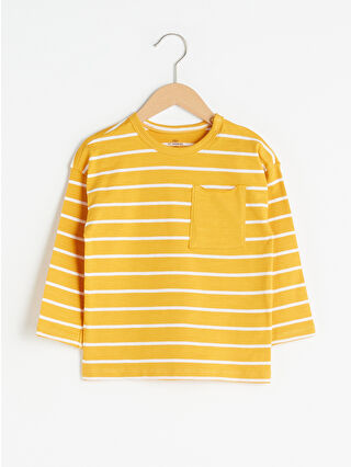 Dark Yellow Striped