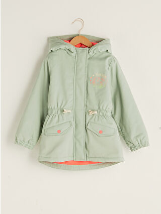 Dull Green