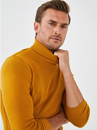 Dark Yellow