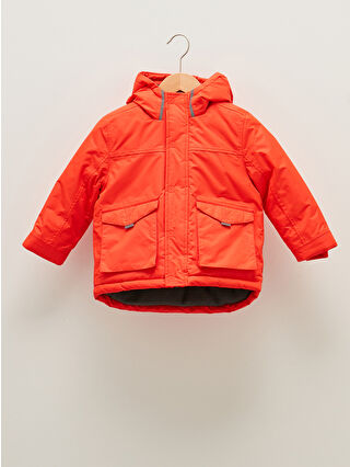 Bright Orange