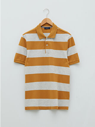 Hardal Sarı Çizgili