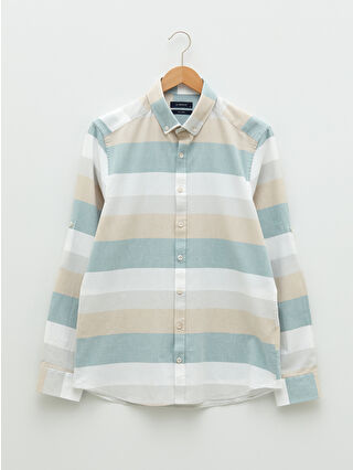 لون أخضر زيتوني فاتح