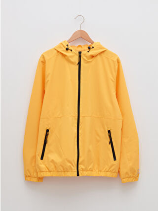 Light Orange