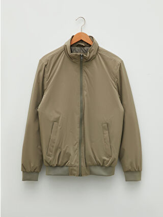 Light Olive Green