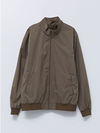 Açık Zeytin Yeşili