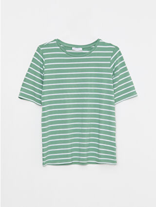 Light Green Striped