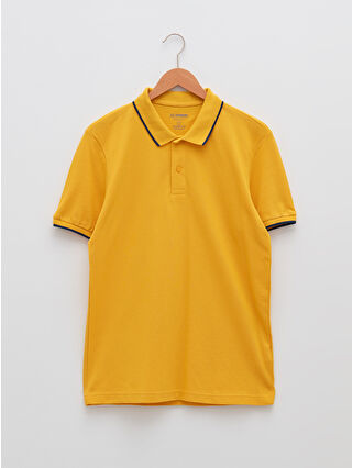 Dark Yellow