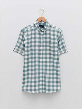 لون أخضر زيتوني فاتح