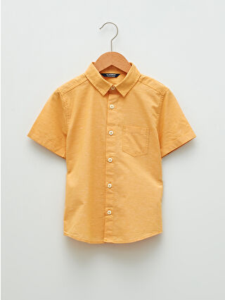 Dark Yellow
