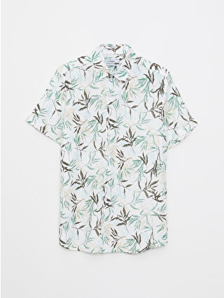 لون أخضر زيتوني فاتح