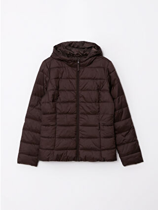 Chocolate Brown