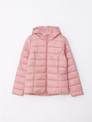 Dusty Rose