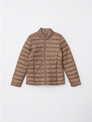 Mink