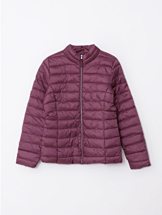 Dull Plum