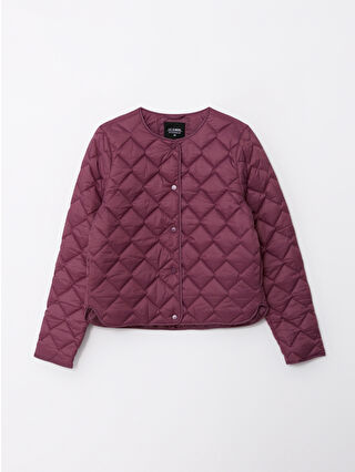 Dull Plum