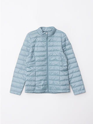Dusty Mint