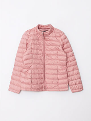 Dusty Rose