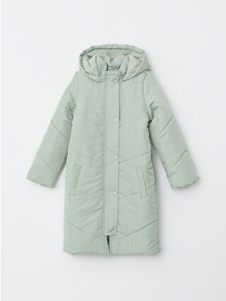 Dull Green