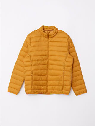 Dark Yellow