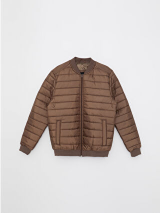 Mink