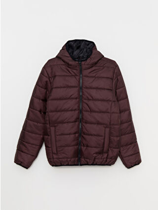 Dark Bordeaux