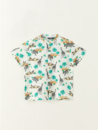 Nane Yeşili Baskılı