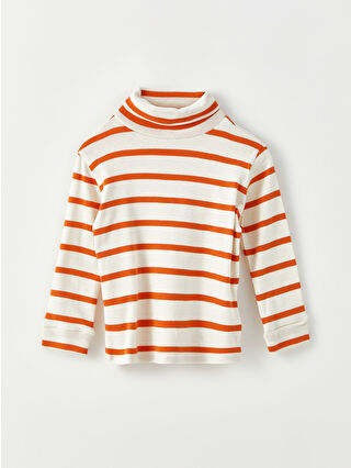 Dull Orange Striped