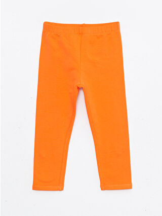 Bright Orange