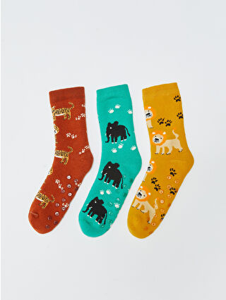 Karışık Renk İpliği Boyalı