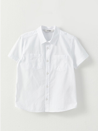 Optic White
