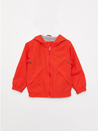 Burnt Orange