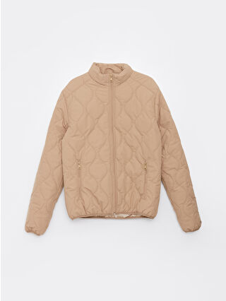 Dark Beige