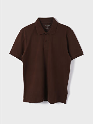 Chocolate Brown