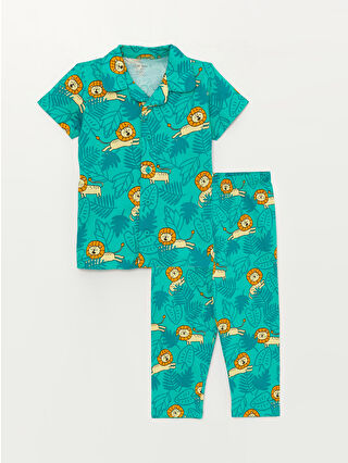 لون أخضر زيتوني فاتح