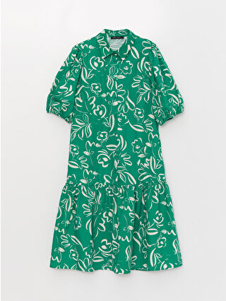 لون أخضر زيتوني فاتح