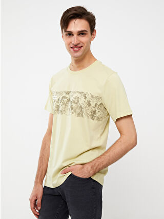 Light Pistachio Green