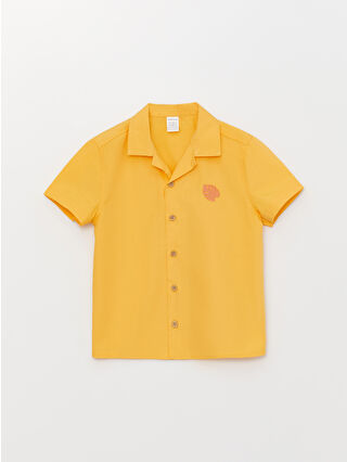 لون مرجاني نيون