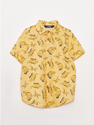 لون أصفر باهت مطبوع