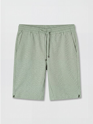 Light Mint Green