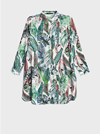 لون أخضر زيتوني فاتح