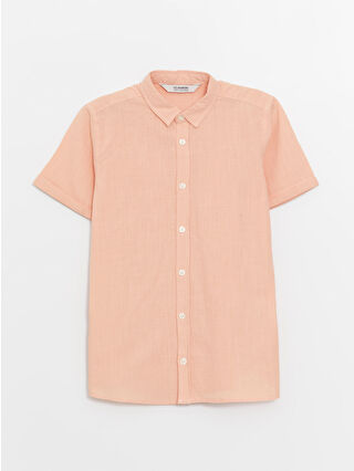 Light Coral