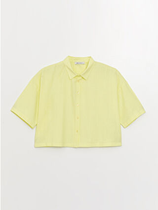 Lemon Green
