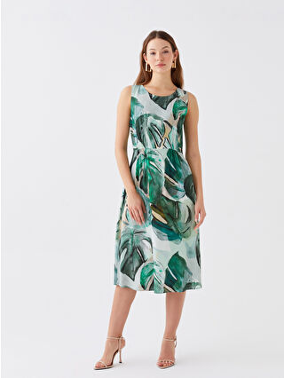 لون أخضر زيتوني فاتح