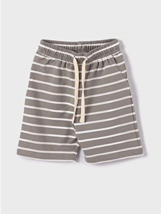 Grey Striped