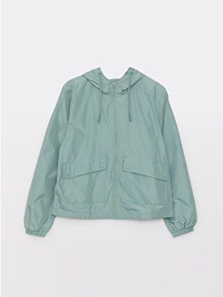 Dull Mint Green