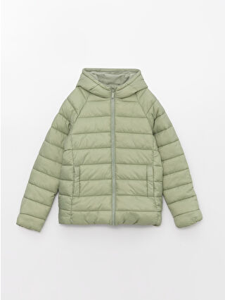 Dull Green