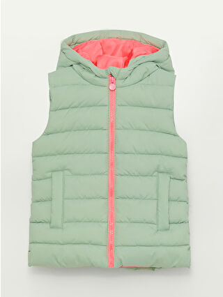 Dull Green