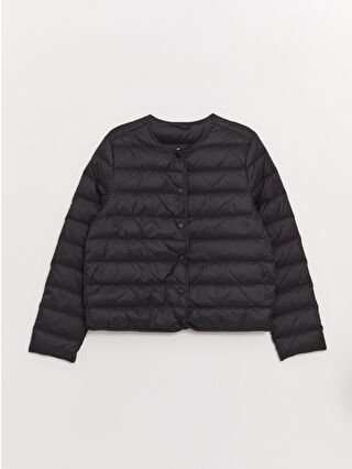 New Black