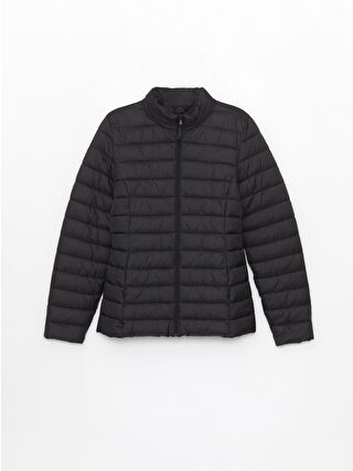 New Black